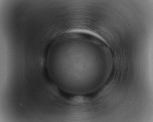 X0000093220227200710101351