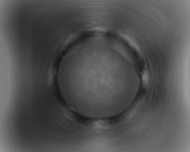 X0000093220229200710101351