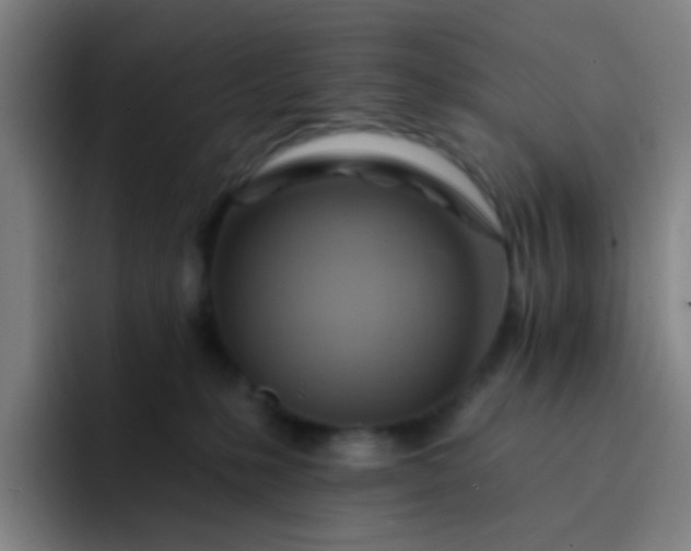 X0000093220231200710101351