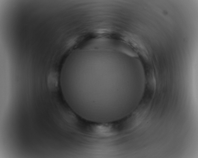 X0000093220232200710101351