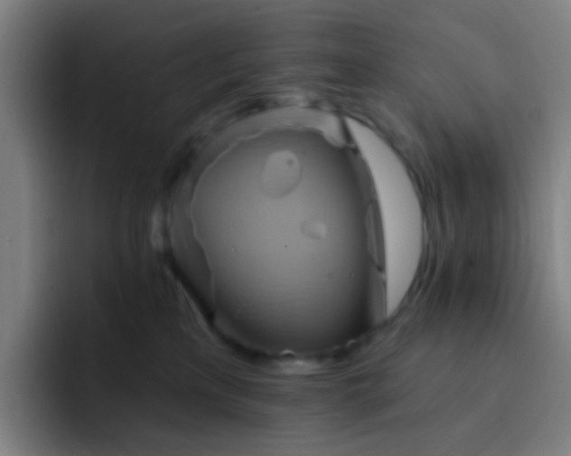 X0000093220233200710101351