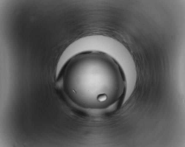 X0000093220235200710101351