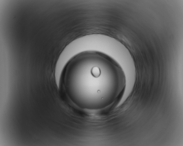 X0000093220237200710101351