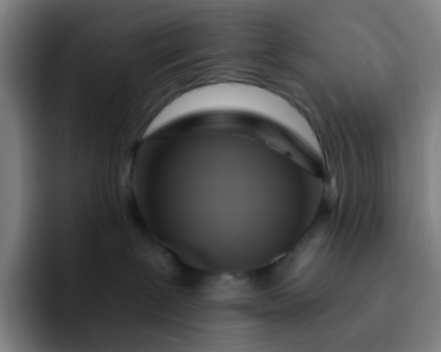 X0000093220239200710101351