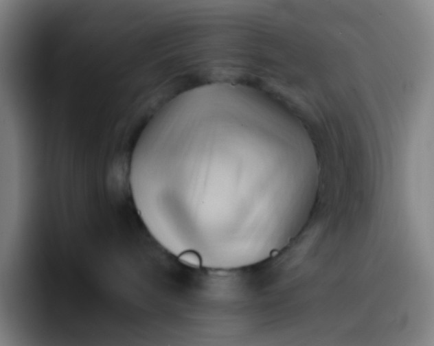 X0000093220240200710101351