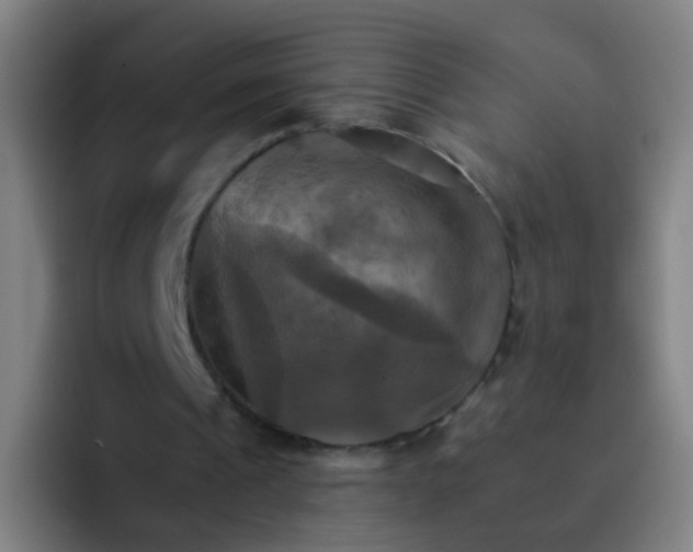 X0000093220241200710101350