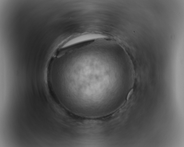 X0000093220242200710101350