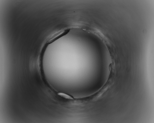 X0000093220244200710101350