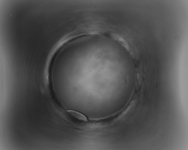 X0000093220246200710101350