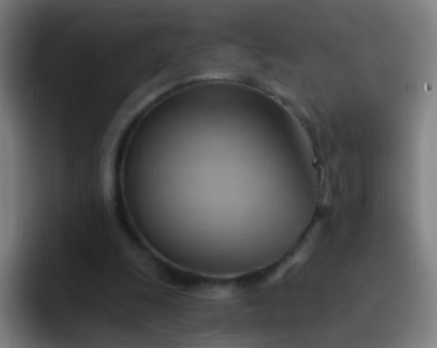 X0000093220247200710101350