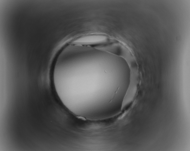 X0000093220248200710101350