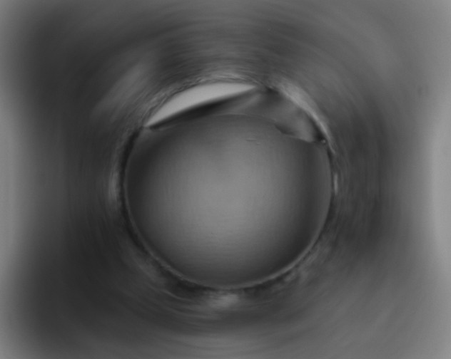 X0000093220249200710101350