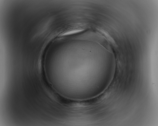 X0000093220250200710101350