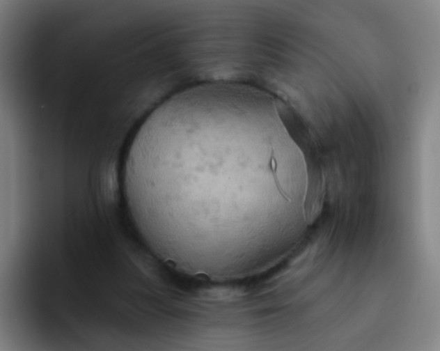 X0000093220251200710101350