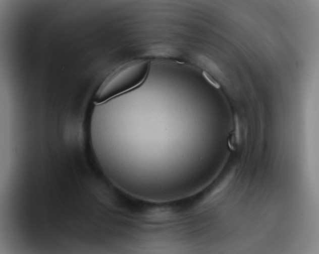 X0000093220252200710101350