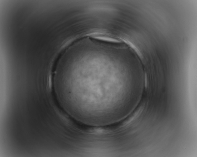 X0000093220253200710101350