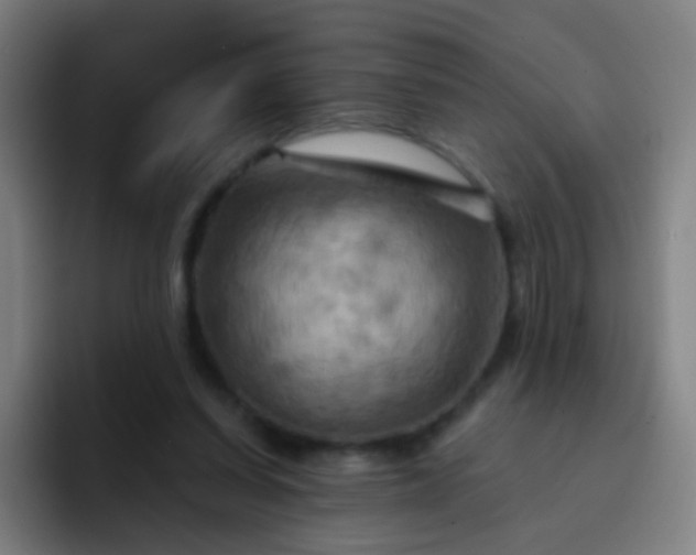 X0000093220254200710101350