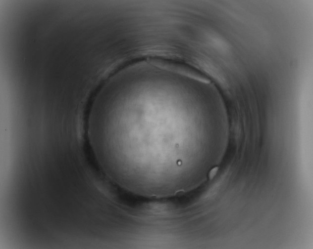 X0000093220255200710101350