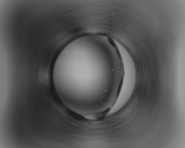 X0000093220256200710101350