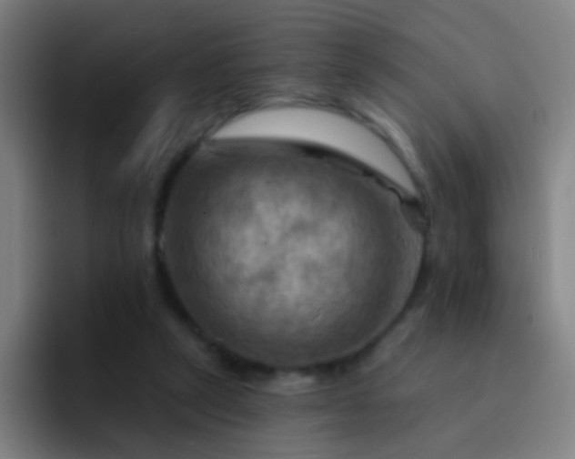 X0000093220257200710101350