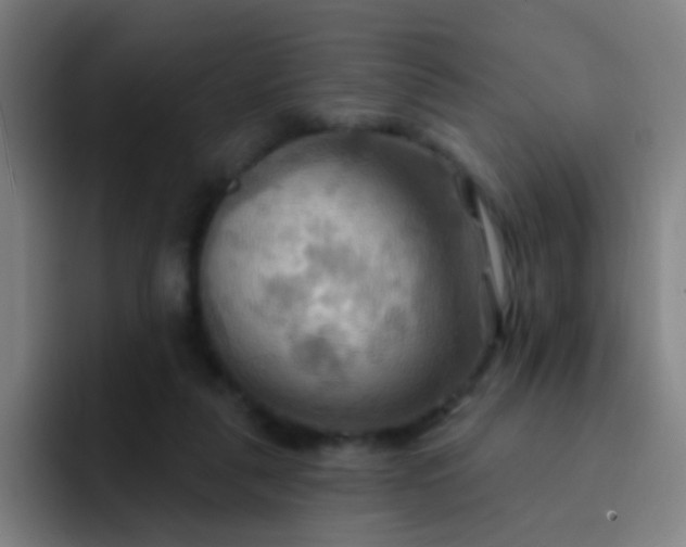 X0000093220259200710101350