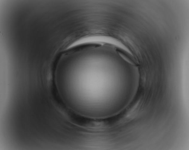 X0000093220260200710101350