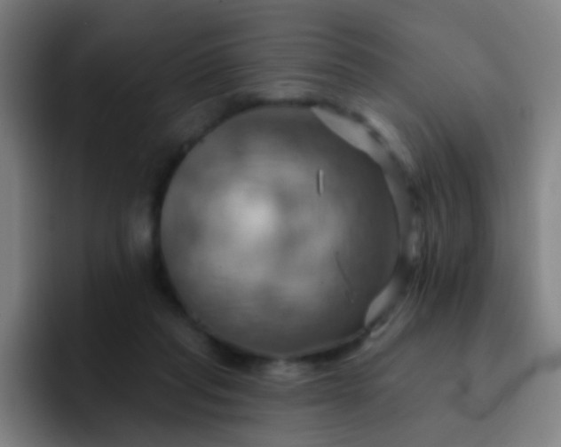 X0000093220261200710101350