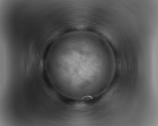 X0000093220262200710101350