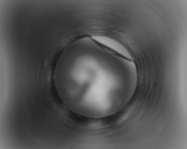 X0000093220263200710101350