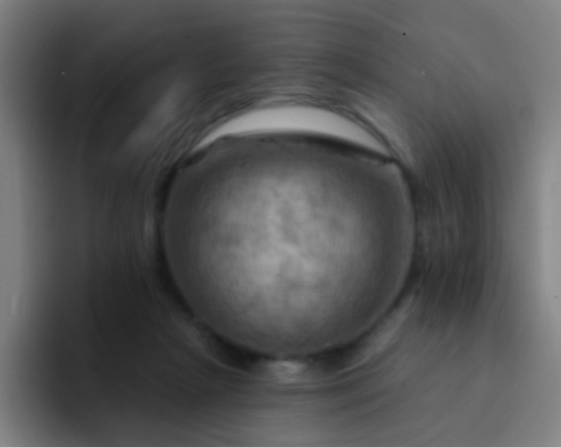 X0000093220265200710101350