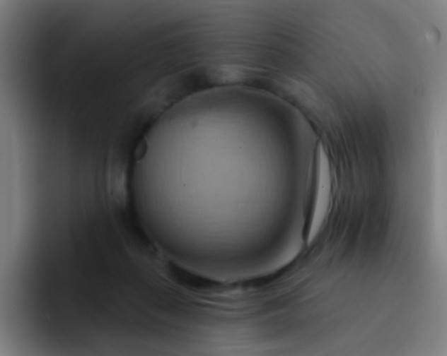 X0000093220267200710101350