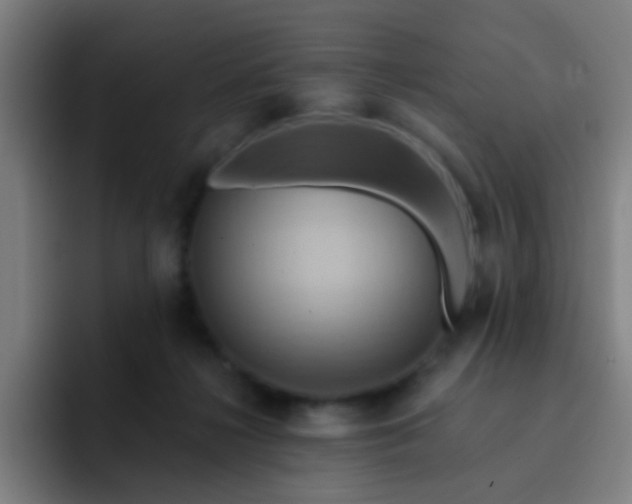 X0000093220268200710101350