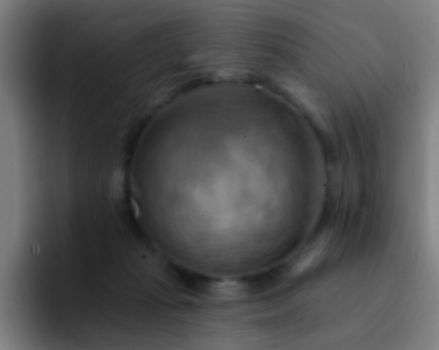 X0000093220269200710101350