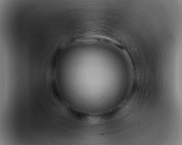 X0000093220272200710101350