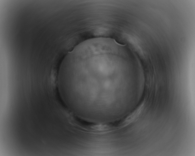 X0000093220273200710101351