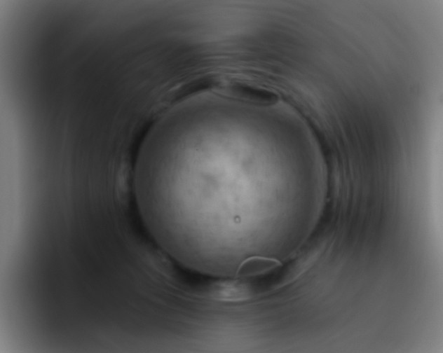 X0000093220275200710101351