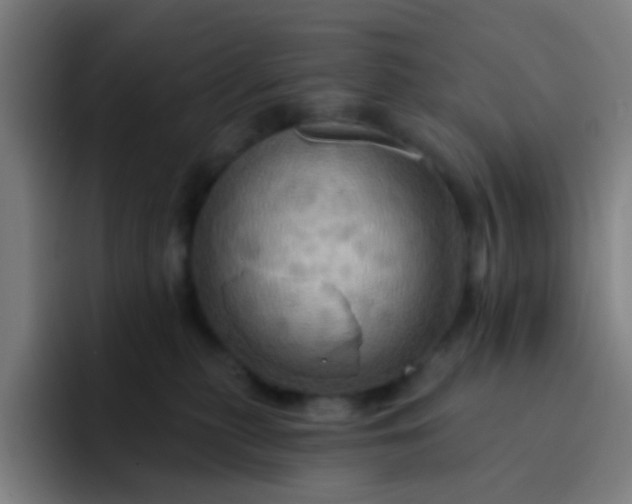 X0000093220279200710101351