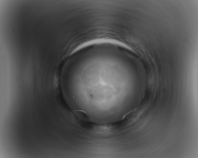 X0000093220282200710101351