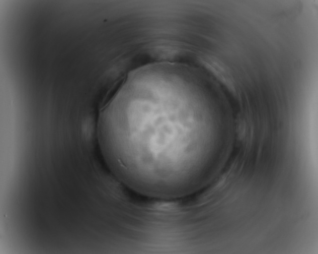 X0000093220283200710101351