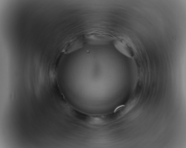 X0000093220285200710101351