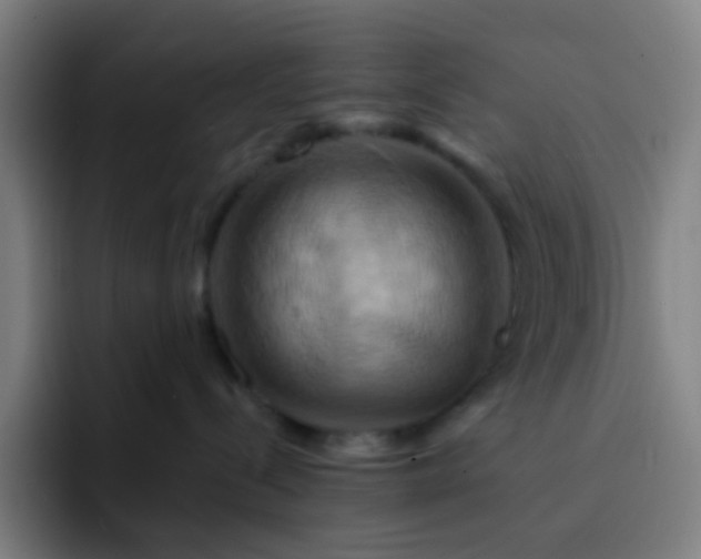 X0000093220288200710101351