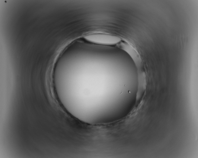 X0000093220289200710101350