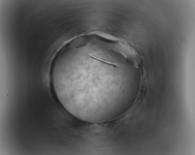 X0000093220290200710101350