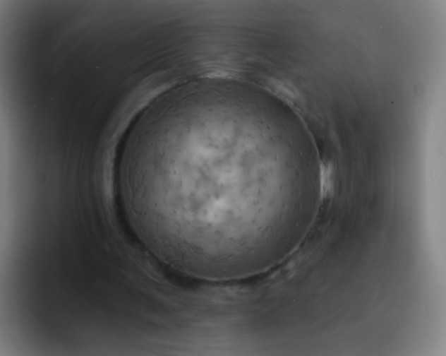 X0000093220291200710101350