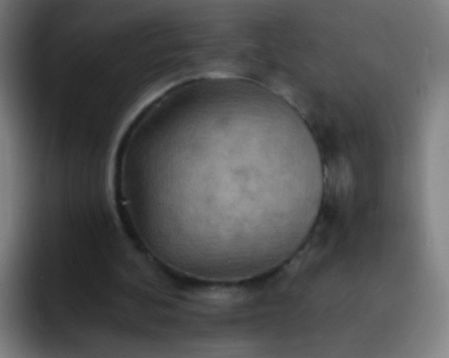 X0000093220292200710101350