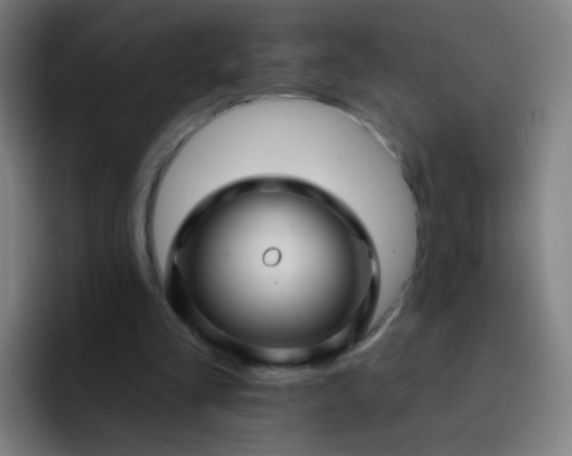 X0000093220293200710101350