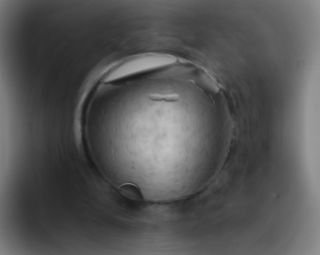 X0000093220294200710101350