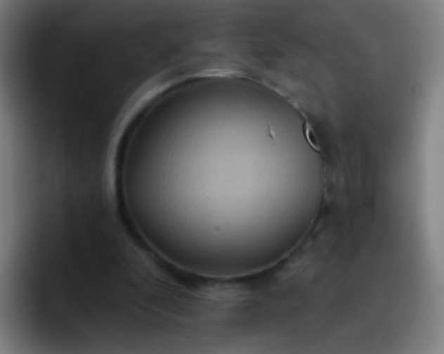 X0000093220296200710101350