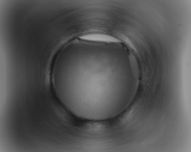 X0000093220299200710101350