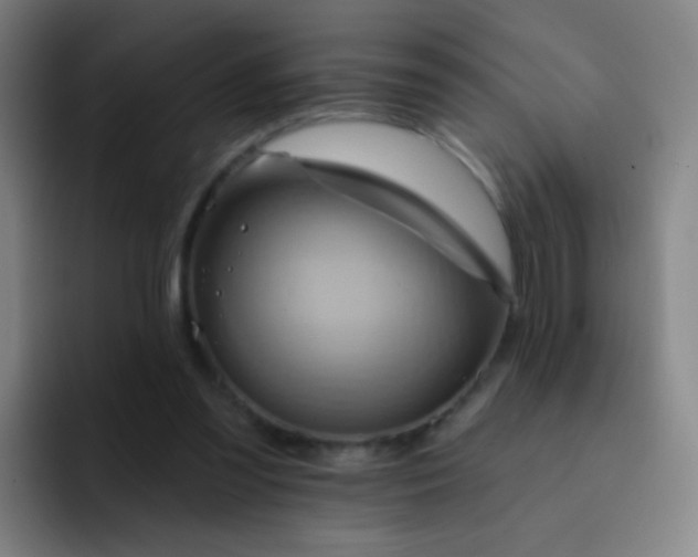 X0000093220301200710101350